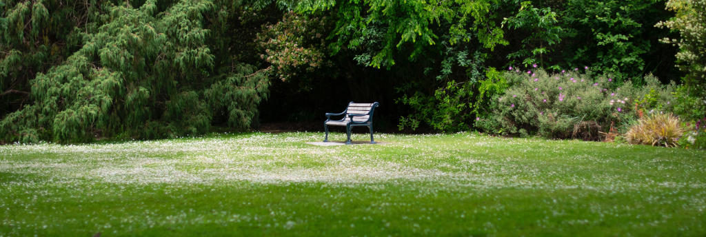 MJ Property Services Lawn Mowing And Lawn Care In Springfield, Missouri