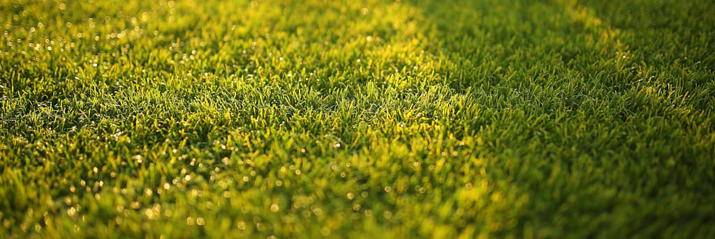 MJ Property Services making beautiful lawns In Springfield, Missouri