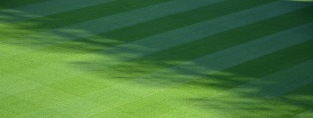 MJ Property Services making beautiful lawns In Springfield, Missouri