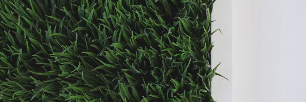 MJ Property Services Lawn Mowing, Edging, Trimming And Lawn Care In Springfield, Missouri