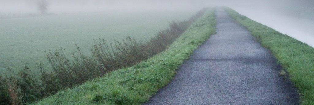 MJ Property Services Lawn Mowing, Edging, Trimming And Lawn Care In Springfield, Missouri