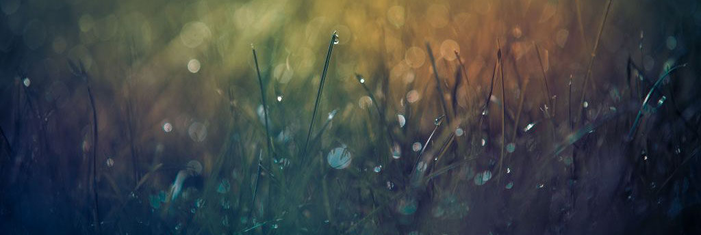 MJ Property Services Lawn Care Watering Is Important To Give You A Greener Lawn